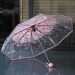 Colouful umbrella